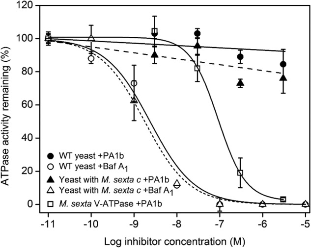 FIGURE 5.