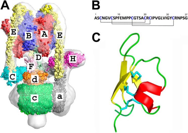 FIGURE 1.