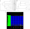 FIG. 2.