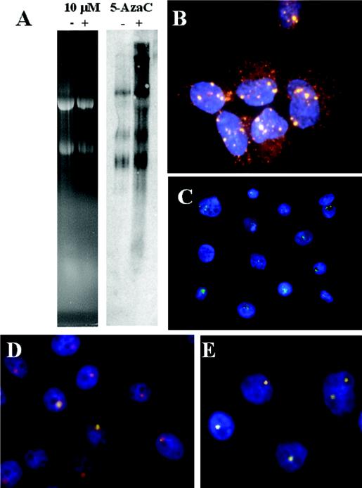 FIG. 7.