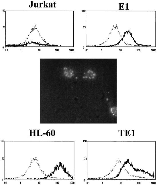 FIG. 5.