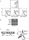 FIG. 8.