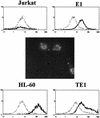 FIG. 5.