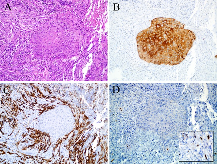 Fig. 3