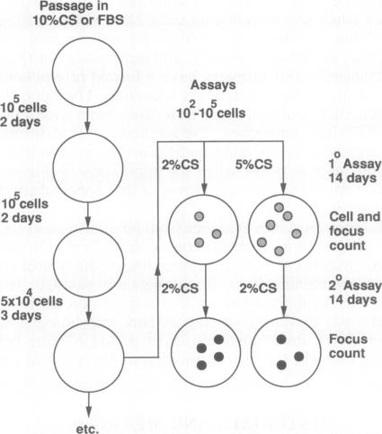 graphic file with name pnas01077-0194-a.jpg