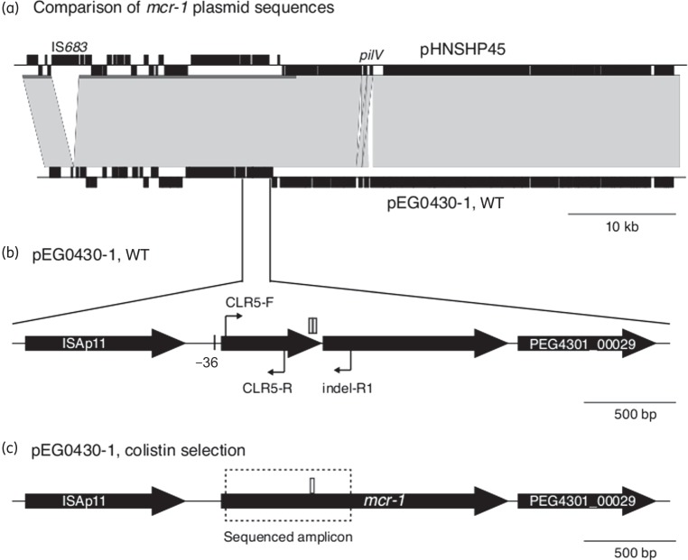 Figure 1.