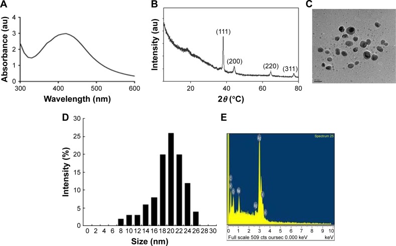 Figure 1