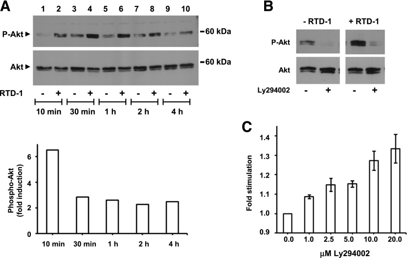 Fig. 8.