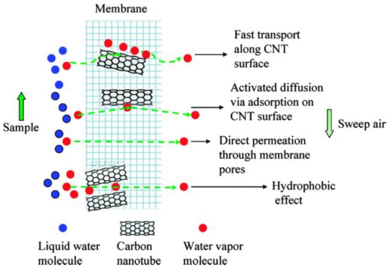 Figure 10