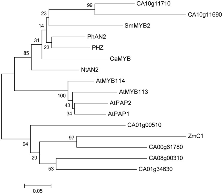 FIGURE 3