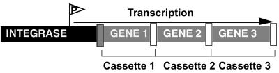 FIG. 2.