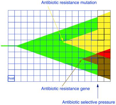 FIG. 3.