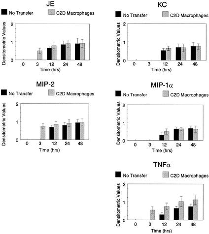 FIG. 2.