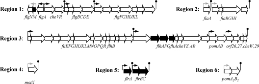 Fig. 1.