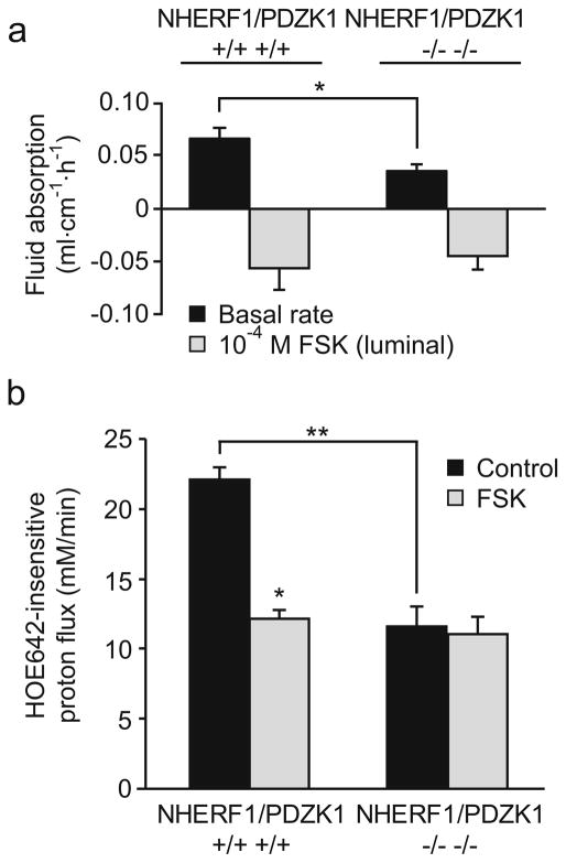 Fig. 11