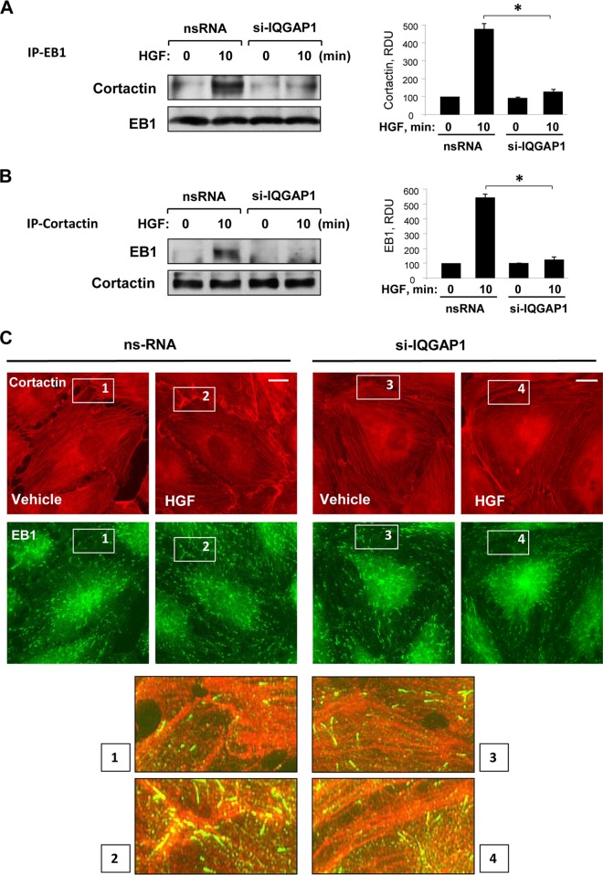 FIG 6