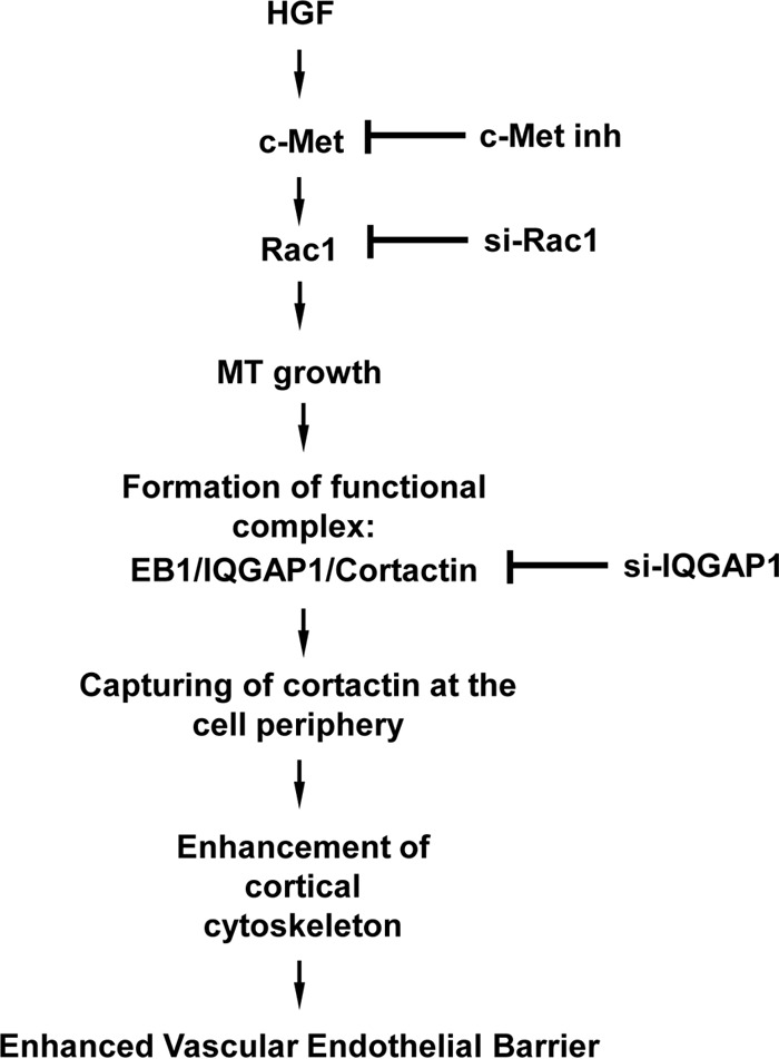 FIG 9