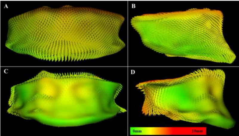 Fig. 10