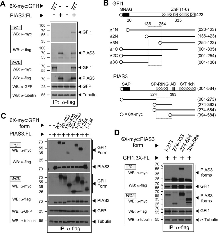 FIG 1