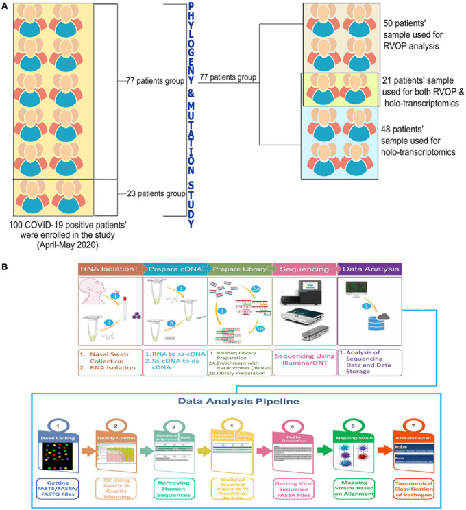 FIGURE 1