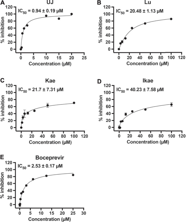 FIGURE 2