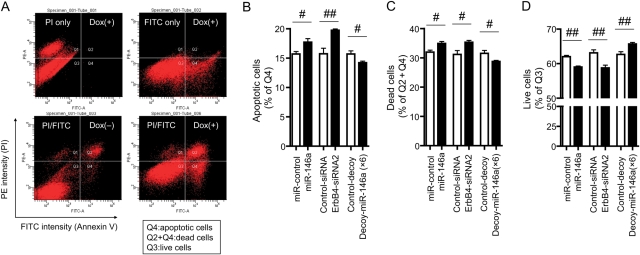 Figure 6