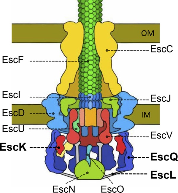 FIG 1