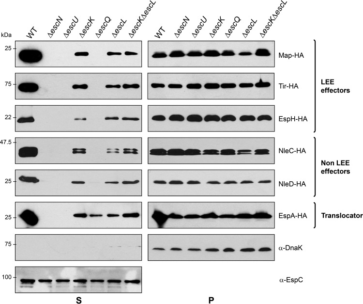 FIG 8