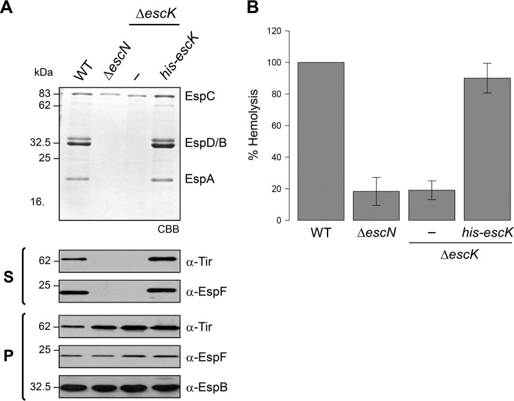 FIG 3