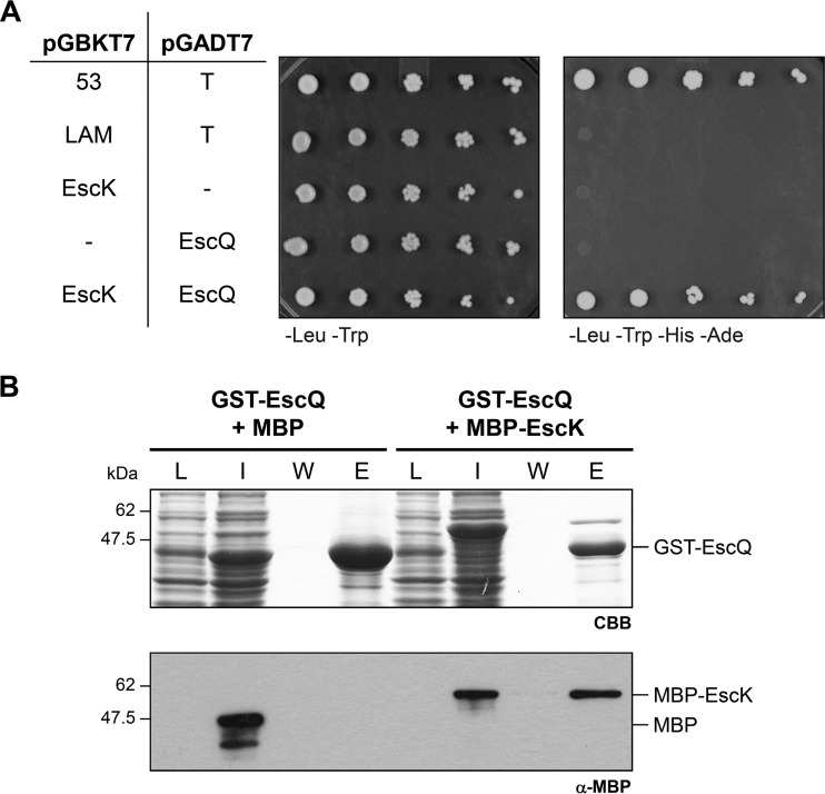 FIG 4