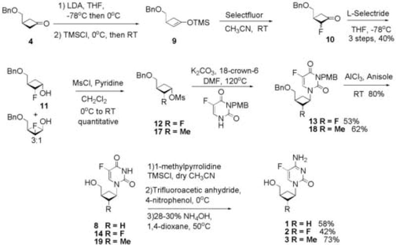 Scheme 2