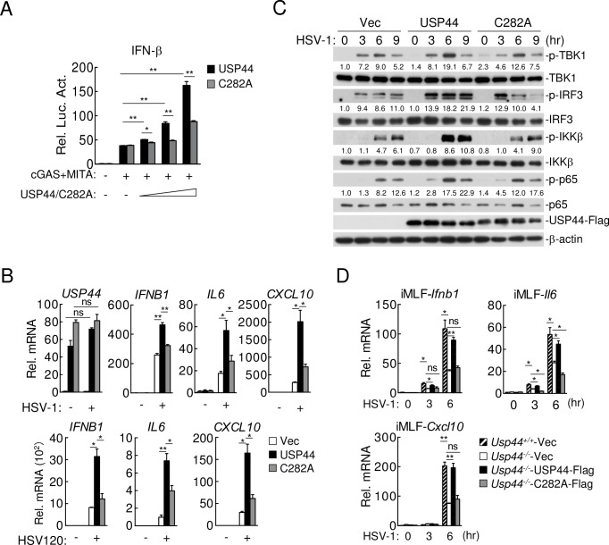 Fig 6