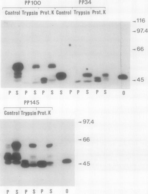 FIG. 6