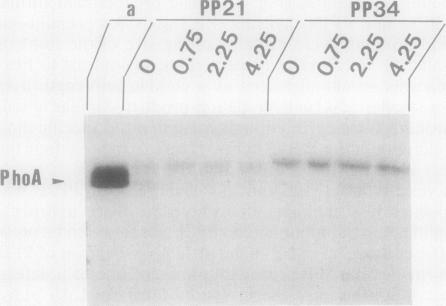 FIG. 5