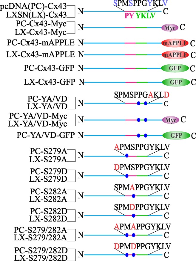 FIGURE 12: