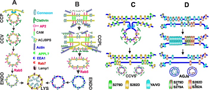 FIGURE 11: