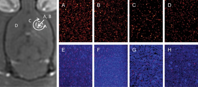 Fig. 4.