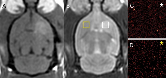 Fig. 5.