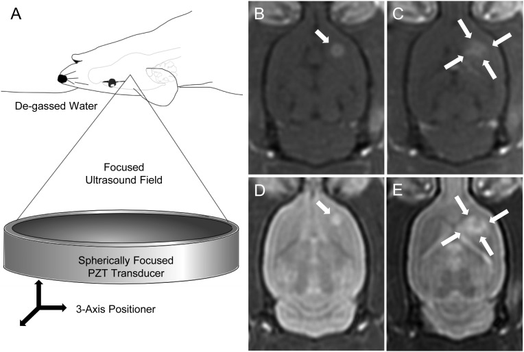 Fig. 1.