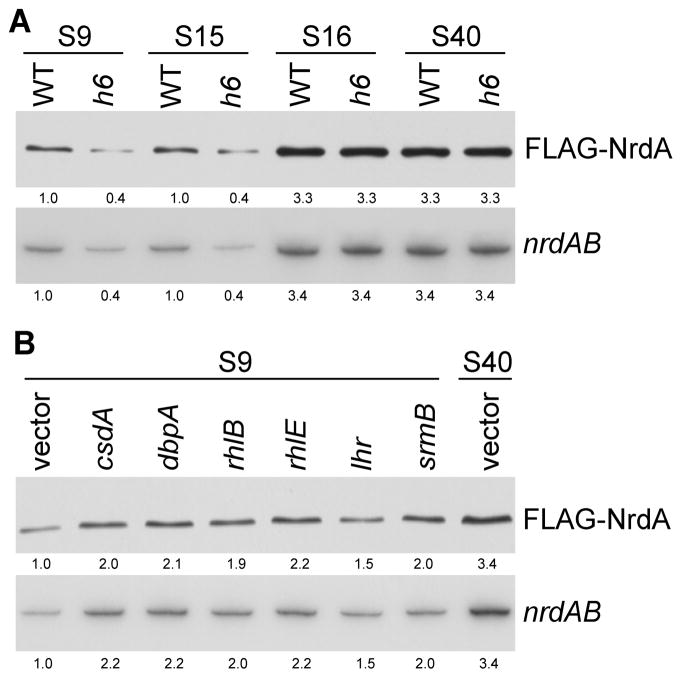 Figure 5