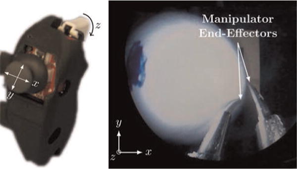 Fig. 10