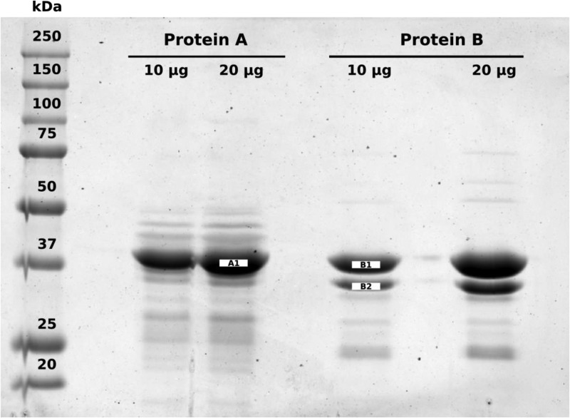 Figure 3.