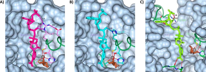 Figure 4.