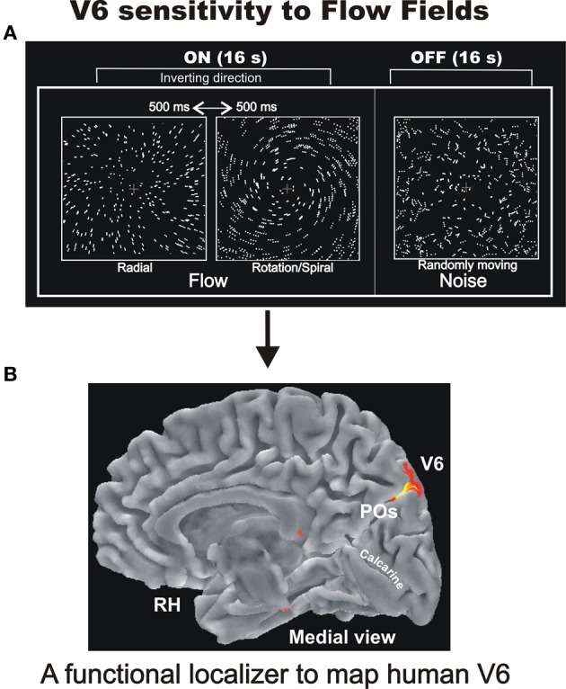 Figure 6