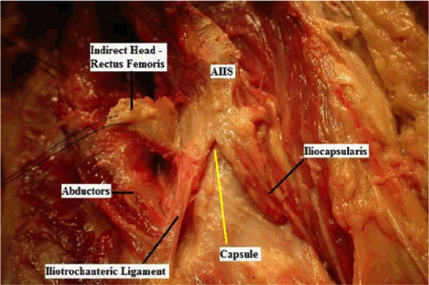 Figure 10.