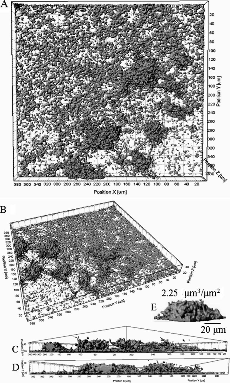 FIG 1