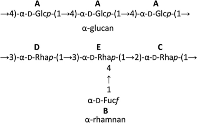 FIG 5