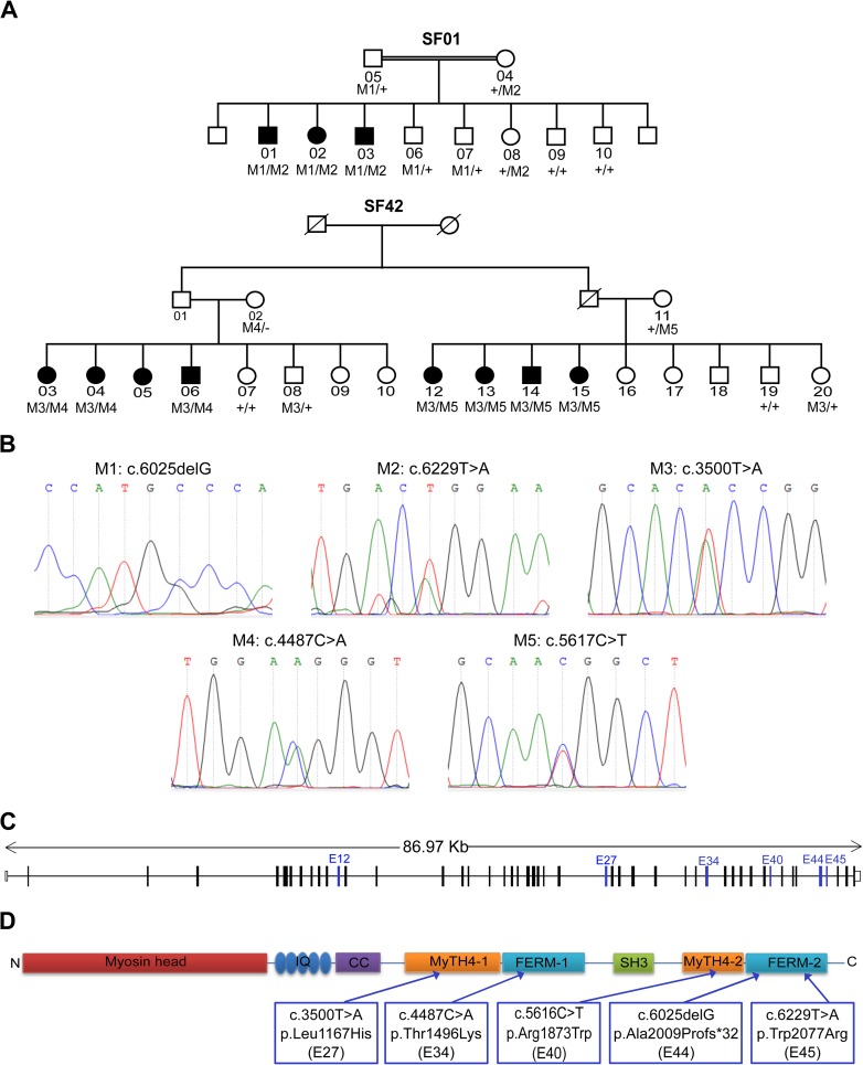 Fig 1