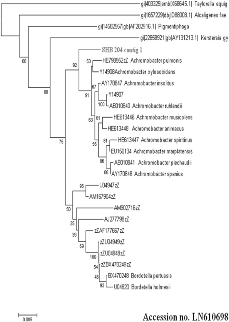 Fig. 1