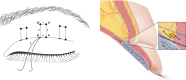Fig. 9.
